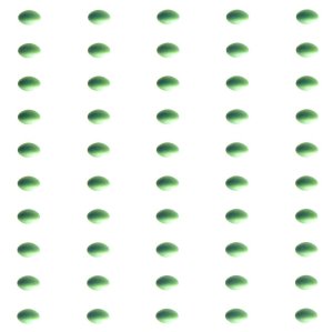 bild3jpg